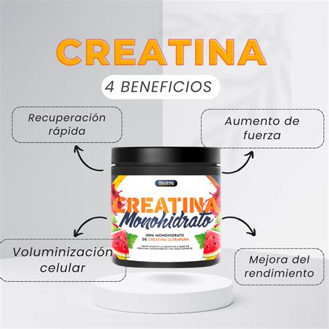 Creatina 100 Monohidrato Pura Macarmig Suplementos Alimenticios