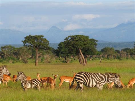 Arusha National Park Photo