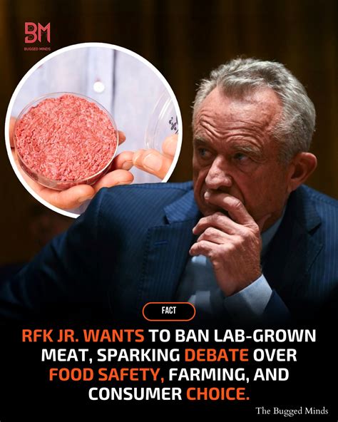 Bugged - Reports suggest Robert F. Kennedy Jr. has shown interest in