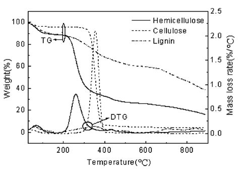 4 TG And DTG Curves Of Lignin Cellulose And Hemicellulose 32