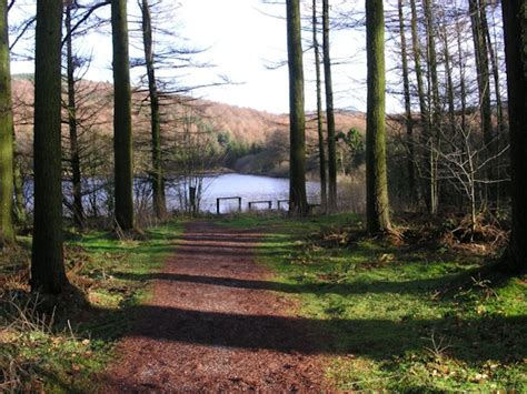 Photography Gallery - Macclesfield Forest