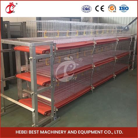 Bestchickencage H Frame Broiler Cages China A Safe Cage For Chickens