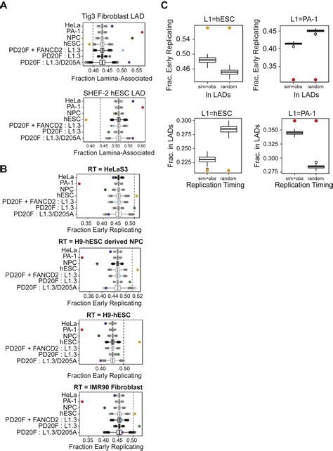 Genome Wide De Novo L Retrotransposition Connects Endonuclease