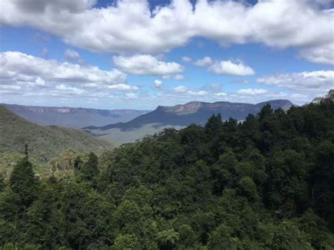 【携程攻略】悉尼蓝山国家公园景点 悉尼蓝山国家公园，山上种植着大量的桉树，桉树分泌的树脂会散发出蓝…