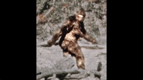 Patterson Bigfoot Film With High Quality Frames YouTube