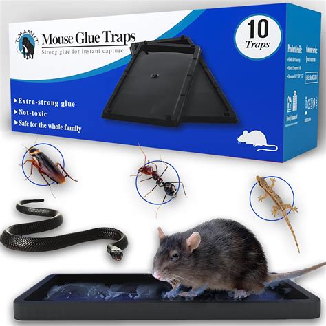 Nuisipro Lots Plaques Bois De Glu Anti Rat Et Anti Souris