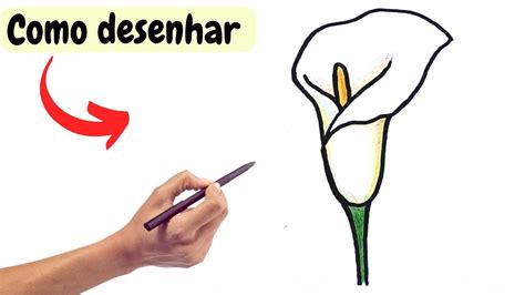 Como Desenhar uma Flor copo de leite essa técnica de desenhar YouTube