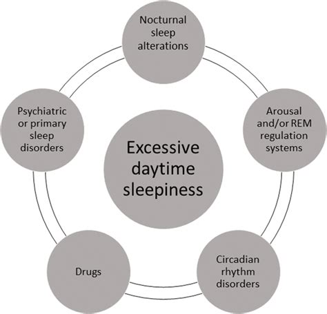 Pathophysiological Mechanisms Of Excessive Daytime Sleepiness In