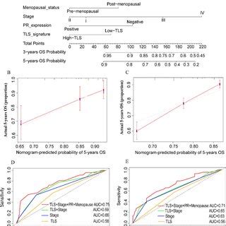 Nomogram And Calibration Plots For Predicting 5 Year OS A Nomogram