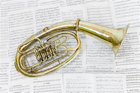 Tenor - Základní umělecká škola, Vysoké Mýto