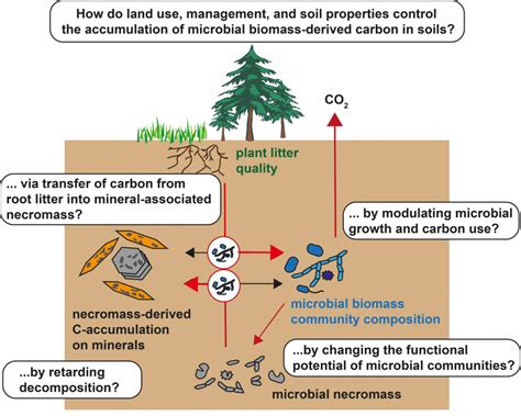 Land Use And Biodiversity Determine The Contribution Of Microbial