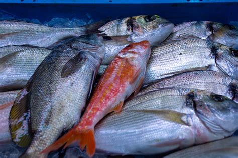 Estos Son Los Tres Peores Pescados En Espa A Ning N M Dico Los Recomienda