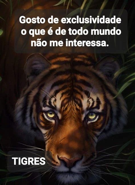 Tigres comunidade Tigres Frases motivação vida Frases bíblicas de