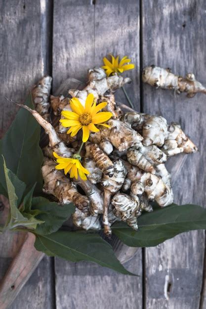 Alcachofa De Jerusal N Cruda Ra Z Vegetal De Topinambur En Mesa De