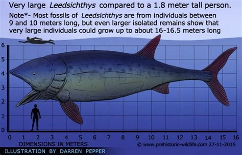 Leedsichthys Prehistoric Wildlife Ancient Fish Prehistoric Animals