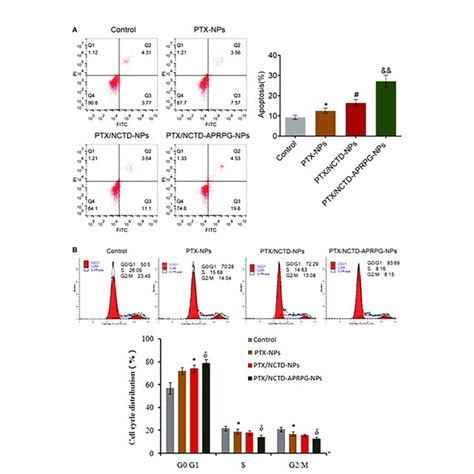 Apoptosis And Cell Cycle Arrest Were Induced By Ptx Nctd Aprpg Nps Download Scientific Diagram