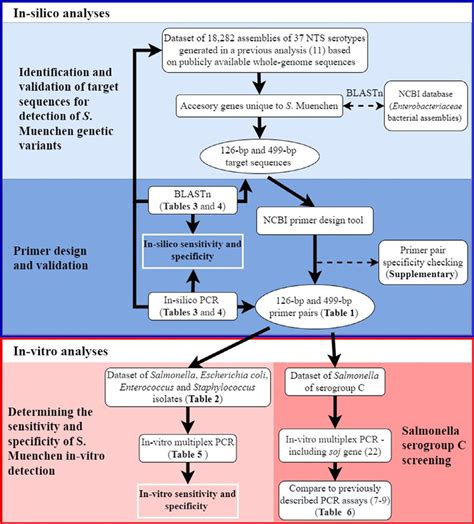 A Schematic Diagram Of The Analyses Process In Silico Blue Box And Download Scientific