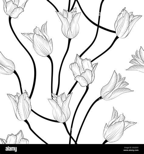 Monochrome Floral Seamless Pattern With Hand Drawn Tulip Flowers On