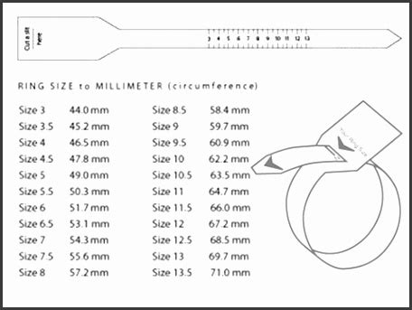 5 Paper Ruler Template - SampleTemplatess - SampleTemplatess