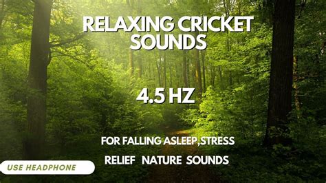 Cricket Sound The Most Relaxing Cricket Sounds For Falling Asleep Stress Reliefnature Sounds 4