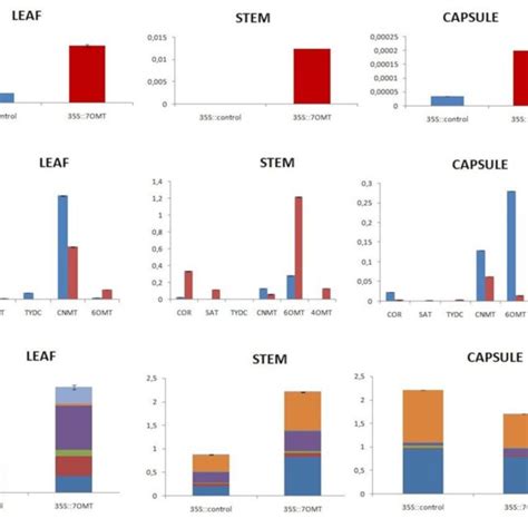 4 ′ Omt Overexpression Results In Different Tissues Leaf Stem And