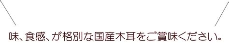 国産 黒木耳 きくらげ 静岡県産 キクラゲ 100g 無農薬 放射能検査済 何個でも送料無料 最安 激安 ビタミンd 食物繊維 豊富 ネコポス