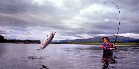 How to Take Up Hobbies in the Outdoors Such As Fishing - My Press Plus