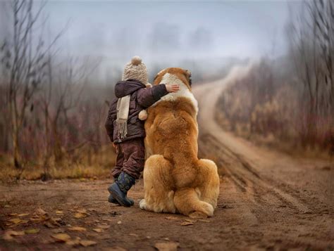 Dokumentarfilm Freund oder Feind über Ambivalenz der Mensch Hund