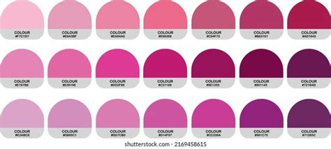 Colour Palette Catalog Samples Pink Cmyk Stock Vector Royalty Free