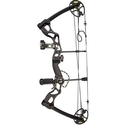 Top Best Compound Bows For Hunting Compound Bow Reviews Navy Mars