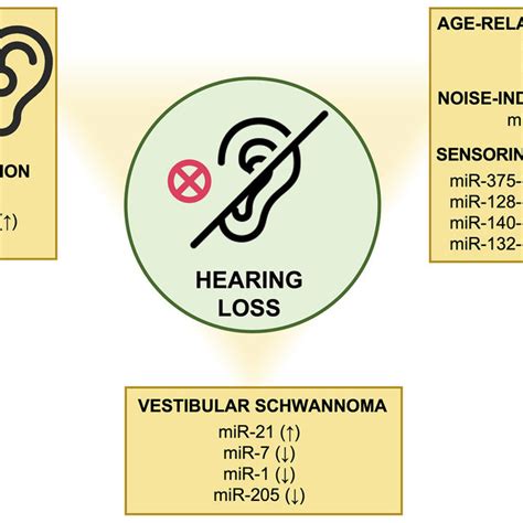 Schematic Representation Of The Causes Of Alterations In MiRNA