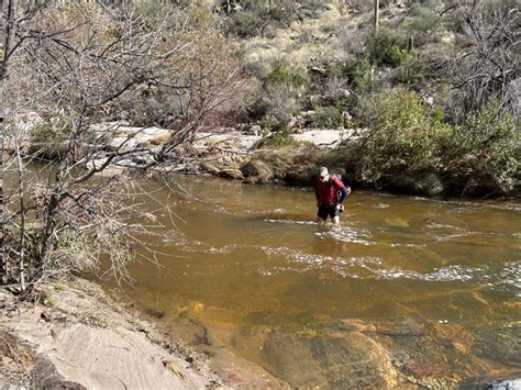 Hike to a little known Sabino Canyon Waterfall - WildPathsAZ