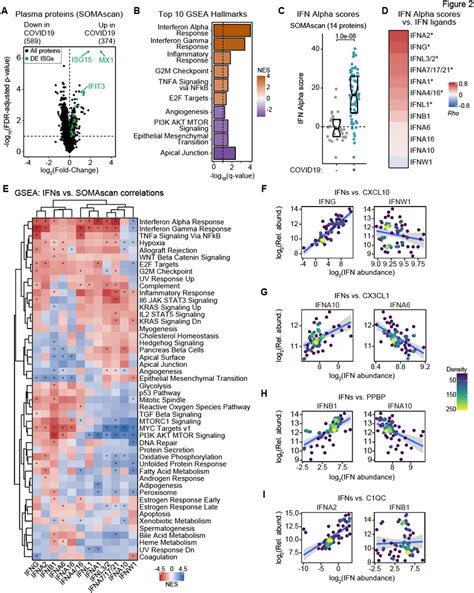 IFN Signaling At The Proteome Level Correlates With Features Of COVID19