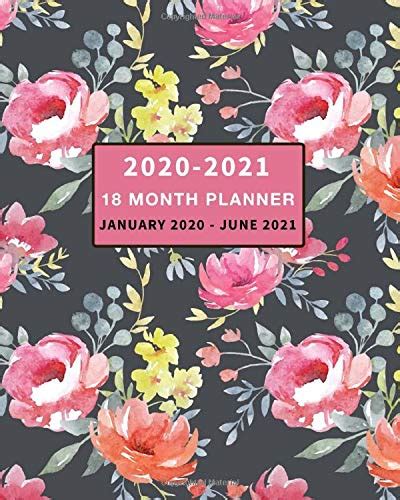 18 Month Planner 2020 2021 Weekly And Monthly Calendar Planner January 2020 June 2021 Press