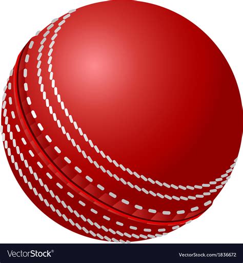 Cricket ball Royalty Free Vector Image - VectorStock