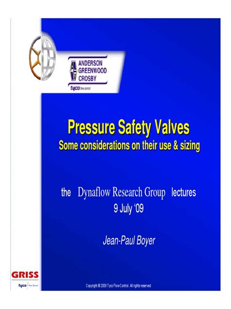 PDF Anderson Greenwood Crosby Pressure Safety Valves Considerations