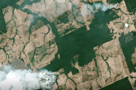 Satellite Images Reveal Devastating Amazon Fires in Almost Real-Time ...