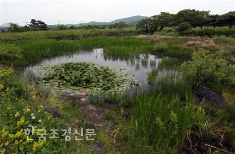 산림청 ‘산림습원 129곳 새로 발견