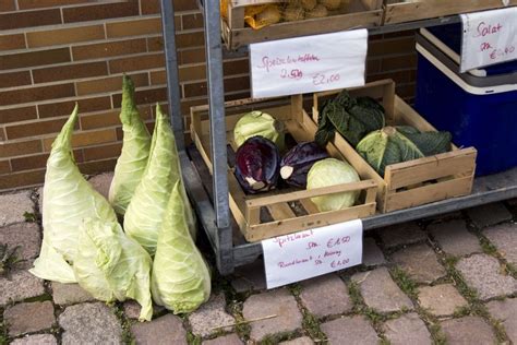 Filder Spitzkraut Slow Food Deutschland