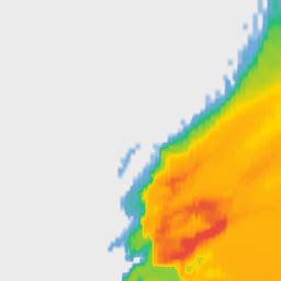 Solihull, England pollen forecast | MSN Weather