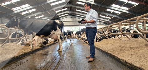 Advanced Ruminant Nutrition Ltd Quality Feeds And Dairy Consultancy