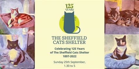 News | The Sheffield Cat Shelter