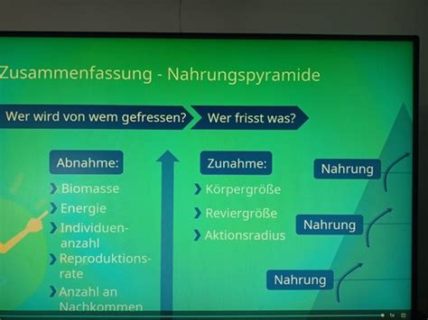 Ökologie Flashcards Quizlet