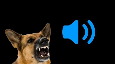 Dog Growling And Barking Sounds Hd Snarling Dog Sound Effects Free