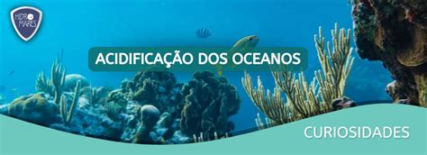 Acidificação Oceânica Hidromares Soluções Para Monitoramento