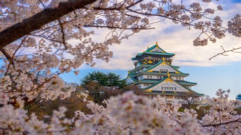 D Voilement D Osaka Les Meilleures Choses Faire Dans La M Tropole