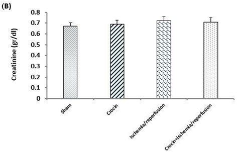 Effects Of Crocin Pretreatment On Serum Levels Of BUN A And