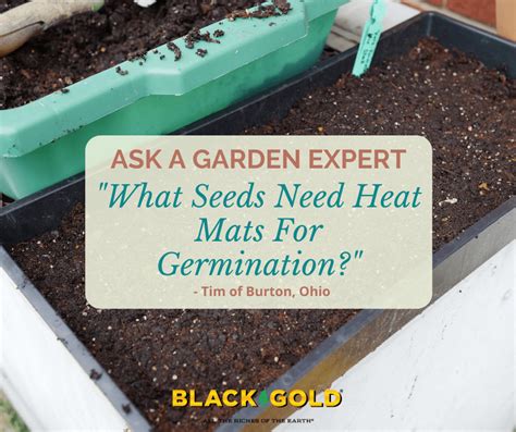 What Seeds Need Heat Mats For Germination Black Gold