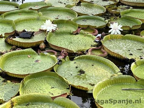 Malaga Spain attractions - Malaga Spain