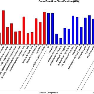 Functional Classification And Pathway Assignment Of Unigenes By KEGG